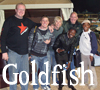 Goldfish